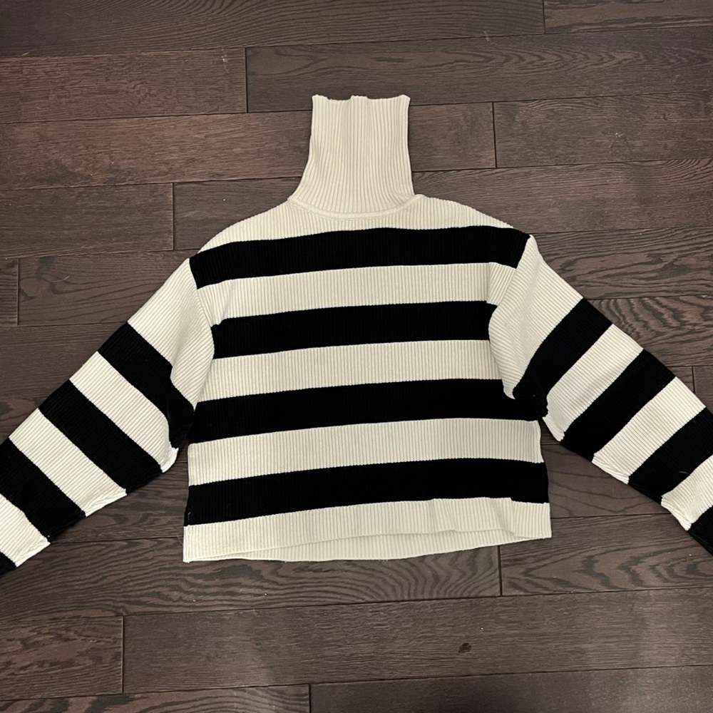 Zara - back & white stripped turtleneck sweater